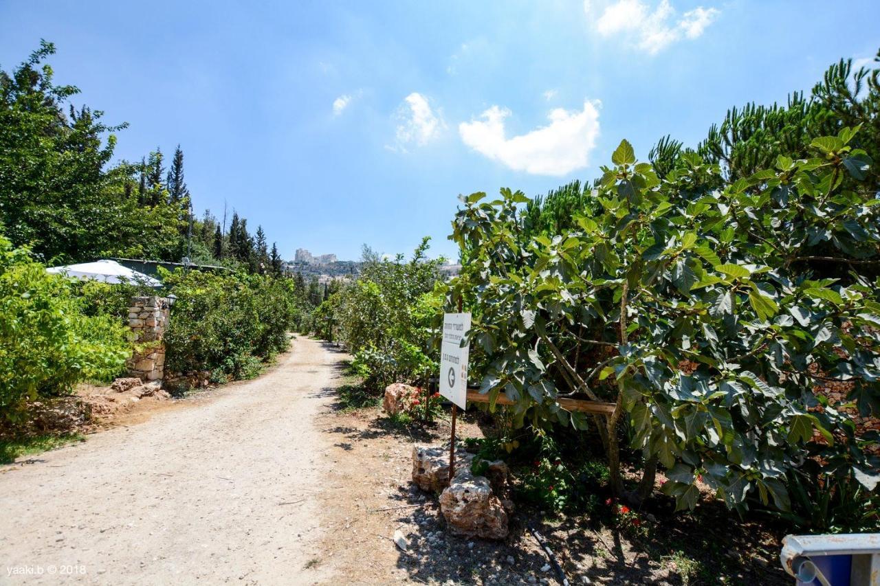 Tur Sinai Organic Farm Resort Jerusalén Exterior foto